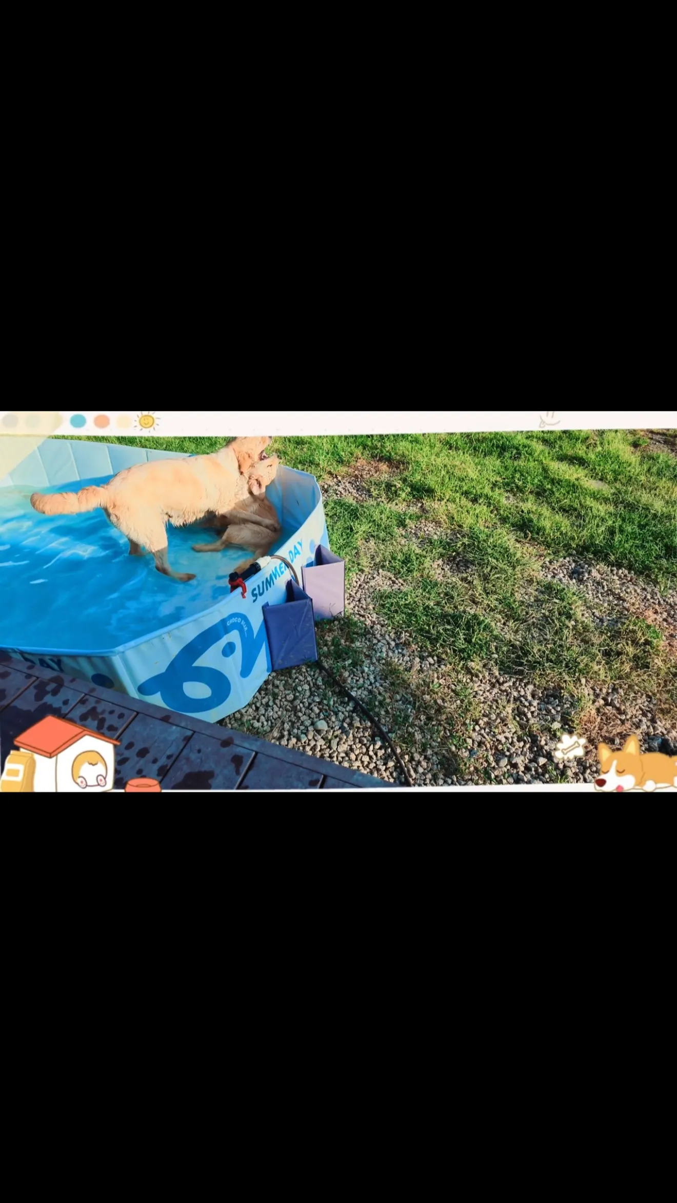 毎日暑いですね🥵☀️